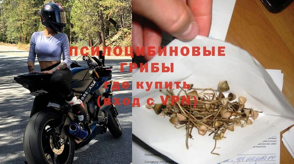 гидра Армянск