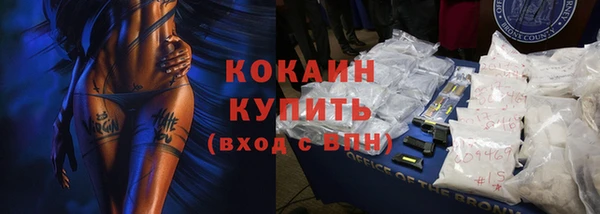 молекула духа Арсеньев