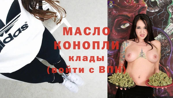 гидра Армянск
