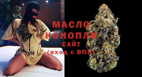 молекула духа Арсеньев