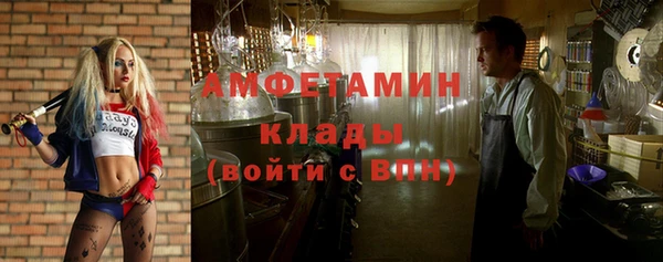 молекула духа Арсеньев