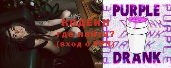 молекула духа Арсеньев