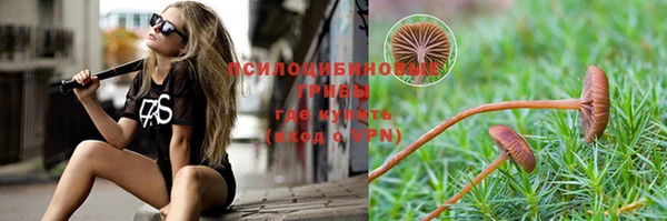 гидра Армянск