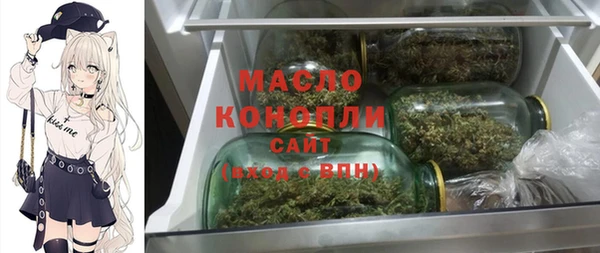 молекула духа Арсеньев