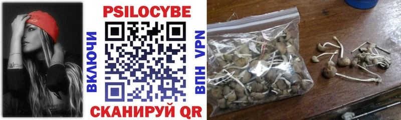 это состав  Арсеньев  Псилоцибиновые грибы Cubensis 